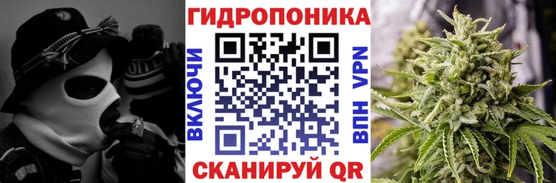 Бошки марихуана план Тула